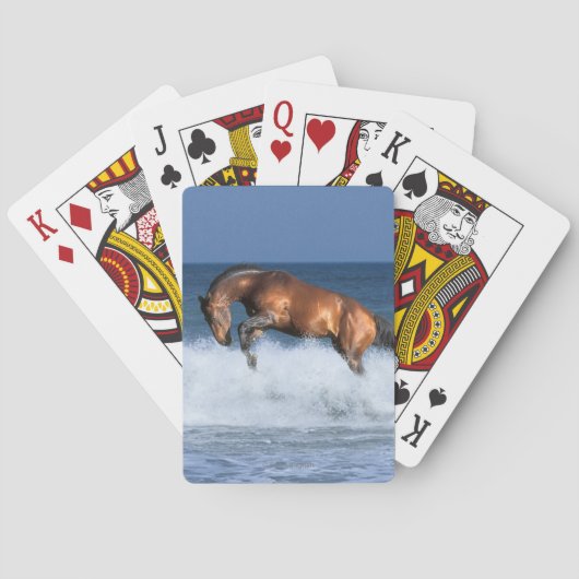Fantasie-Pferde: Selle Francais u. Meer Spielkarten (Rückseite)