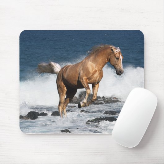 Fantasie-Pferde: Sommer-Spritzen Mousepad (Mit Mouse)