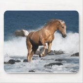 Fantasie-Pferde: Sommer-Spritzen Mousepad (Vorne)