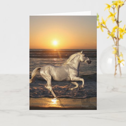 Fantasie-Pferde: Sonnenuntergang Karte (Gelbe Blume)