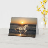 Fantasie-Pferde: Sonnenuntergang Karte (Gelbe Blume)