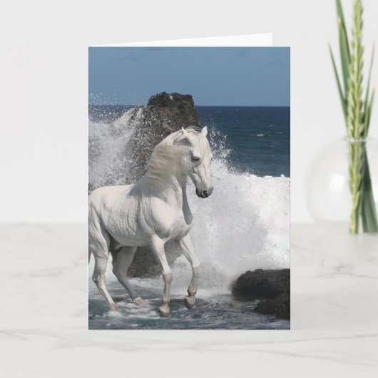 Fantasie-Pferde: Südliche Meere Karte (Vorderseite)