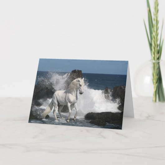 Fantasie-Pferde: Südliche Meere Karte (Vorderseite)