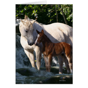 Fantasie-Pferde: Wasserfall