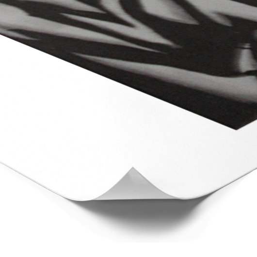 Fantasie Poster (Ecke)