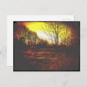 Fantasie Postkarte (Vorne/Hinten)