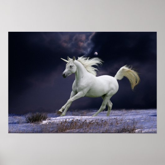 Fantasiepferde: Einhorn Poster (Vorne)