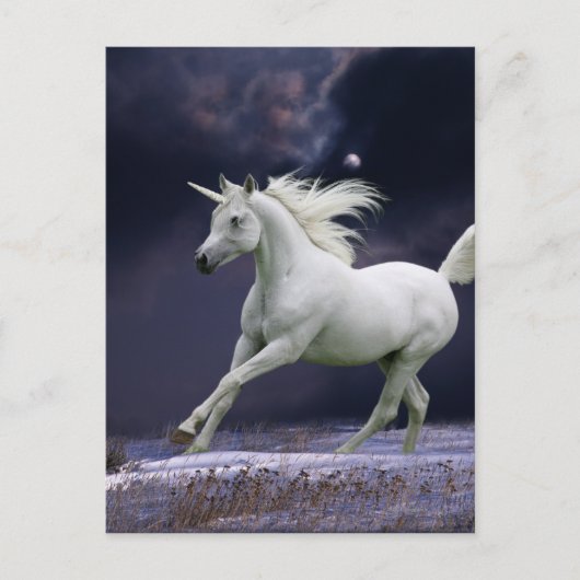 Fantasiepferde: Einhorn Postkarte (Vorderseite)