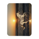 Fantasiepferde: Sonnenuntergang Magnet (Vertikal)