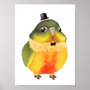 Fantasievoller Conure Druck Poster