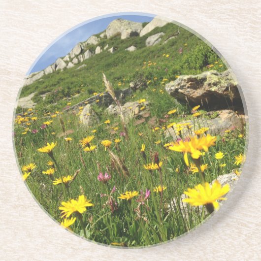 Fantastisch! Alpenische Blume Getränkeuntersetzer (Vorne)