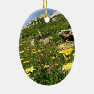 Fantastisch! Alpenische Blume Keramik Ornament