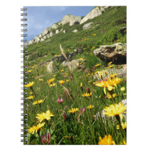Fantastisch! Alpenische Blume Notizblock