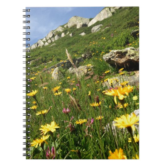 Fantastisch! Alpenische Blume Notizblock (Vorderseite)