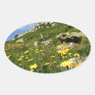 Fantastisch! Alpenische Blume Ovaler Aufkleber