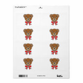 Fantastische Bärengesicht (Vorne)