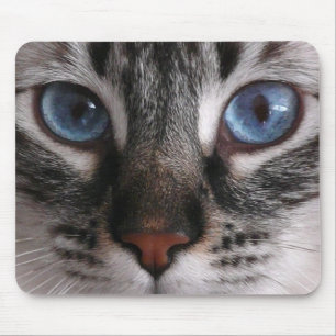 "Fantastische blaue Augen" Kitty-Mausunterlage Mousepad