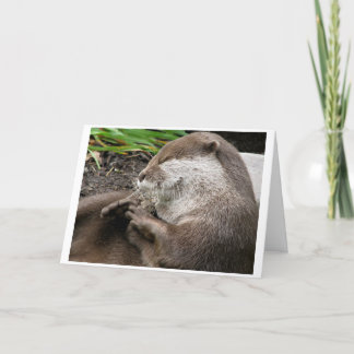 fantastische Feiertage Otter-LY Feiertagskarte