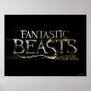 FANTASTISCHE KÄSTE UND WO SIE IHR Logo FINDEN KÖNN Poster