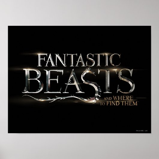 FANTASTISCHE KÄSTE UND WO SIE IHR Logo FINDEN KÖNN Poster (Vorne)
