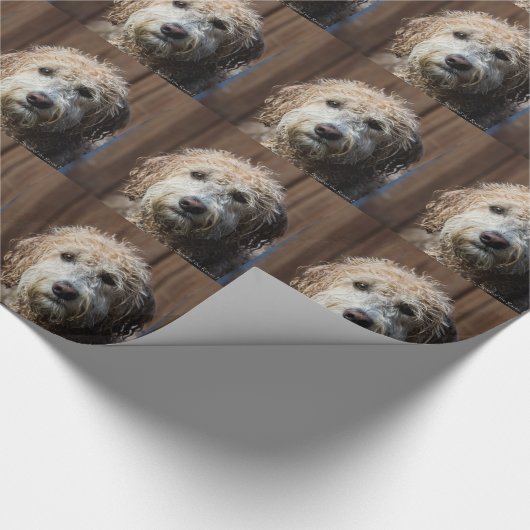 Fantastische Labradoodle Welpengeschenke Geschenkpapier (Ecke)