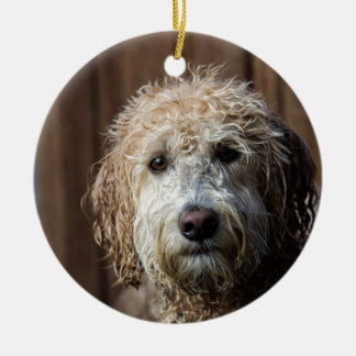 Fantastische Labradoodle Welpengeschenke Keramikornament