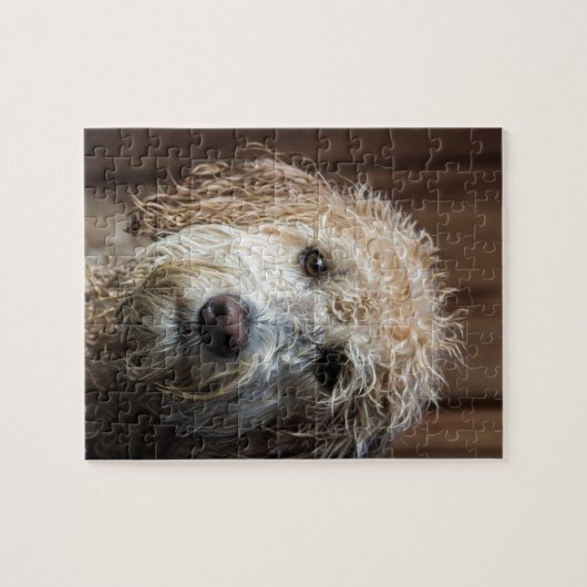 Fantastische Labradoodle Welpengeschenke Puzzle (Horizontal)