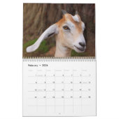 Fantastische Landtiere Kalender (Feb 2026)