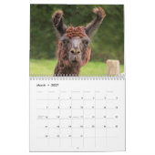 Fantastische Landtiere Kalender (Mär 2027)