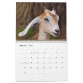 Fantastische Landtiere Kalender (Feb 2027)