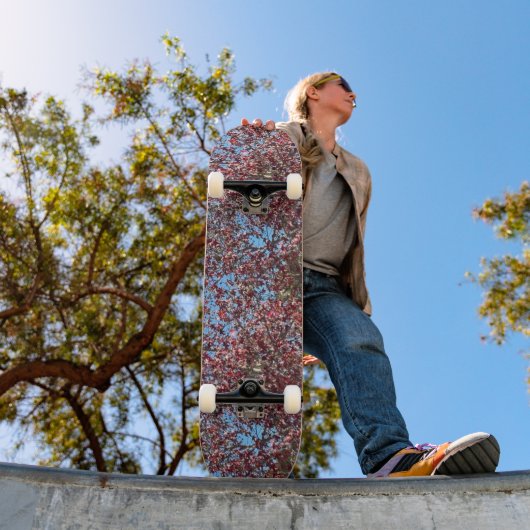 Fantastische Natur, Skateboard (Außen 1)