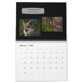 Fantastische Raubvögel Fotokalender 2019 Kalender (Feb 2027)