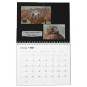 Fantastische Raubvögel Fotokalender 2019 Kalender (Jan 2027)