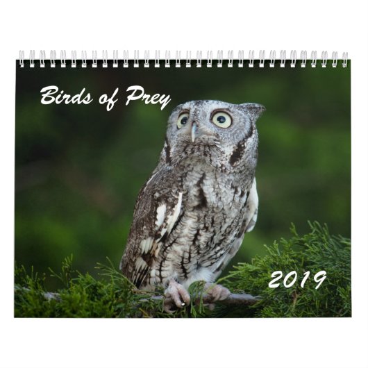 Fantastische Raubvögel Fotokalender 2019 Kalender (Titelbild)