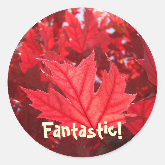 Fantastische Rote Herbstleaf Aufkleber Blätter Nat (Vorderseite)