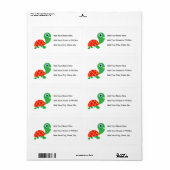 Fantastische Schildkröte (Vorne)