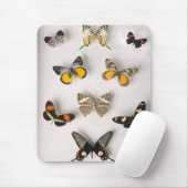 Fantastische Schmetterlingssammlung Mousepad (Mit Mouse)