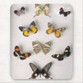 Fantastische Schmetterlingssammlung Mousepad (Vorne)