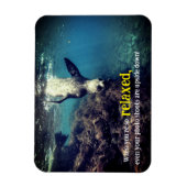 Fantastische Seelöwe unter Wasser Magnet (Vertikal)