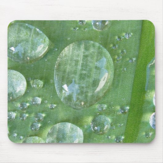 Fantastische Wasserperle Mousepad (Vorne)