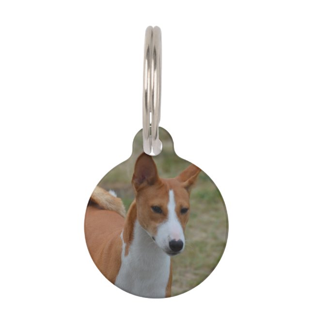 Fantastischer Basenji Hund Tiermarke (Vorderseite)