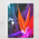 Fantastischer Bird of Paradise Hochzeiten Einladun Einladung (Rückseite)