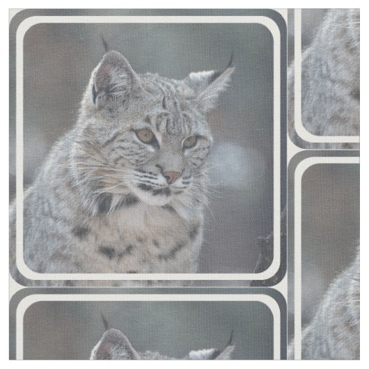 Fantastischer Bobcat Stoff (Nahaufnahme)