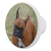 Fantastischer Boxer-Hund Keramikknauf (Rechts)