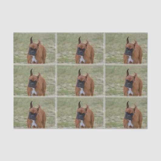 Fantastischer Boxer-Hund Seidenpapier (Vorderseite)