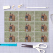 Fantastischer Boxer-Hund Seidenpapier (Handwerk)