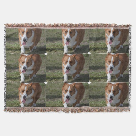 Fantastischer Corgi Decke (Vorderseite)