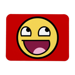Fantastischer Gesichts-Prämien-Magnet Magnet