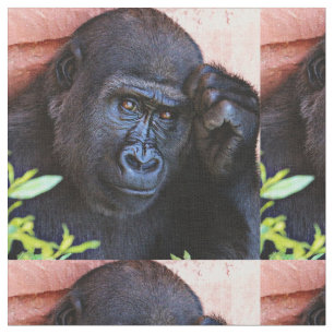 fantastischer Gorilla 1215P Stoff