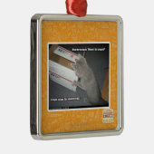 Fantastischer Kasten Ornament Aus Metall (Rechts)